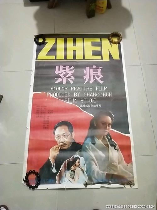 国外毕业证回国找工作